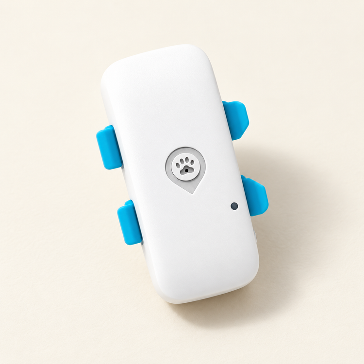 Localizador GPS 4G europeo azul y blanco de Pasevora
