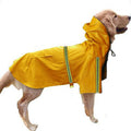 Chubasquero del Pack Días de lluvia